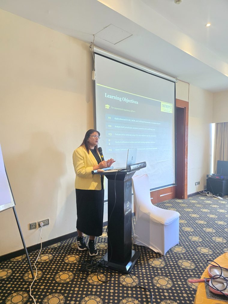 Facilitator leading an overseas corporate learning session