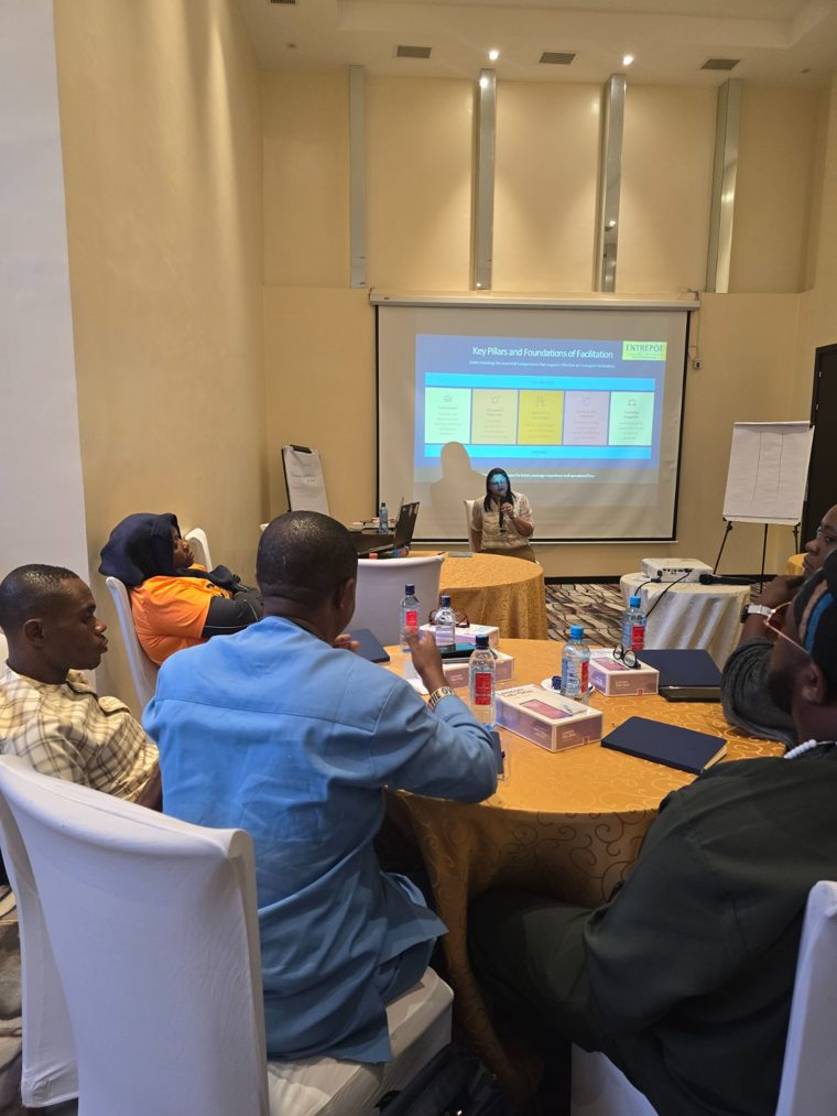 Facilitator teaching the key pillars of air transportation facilitation
